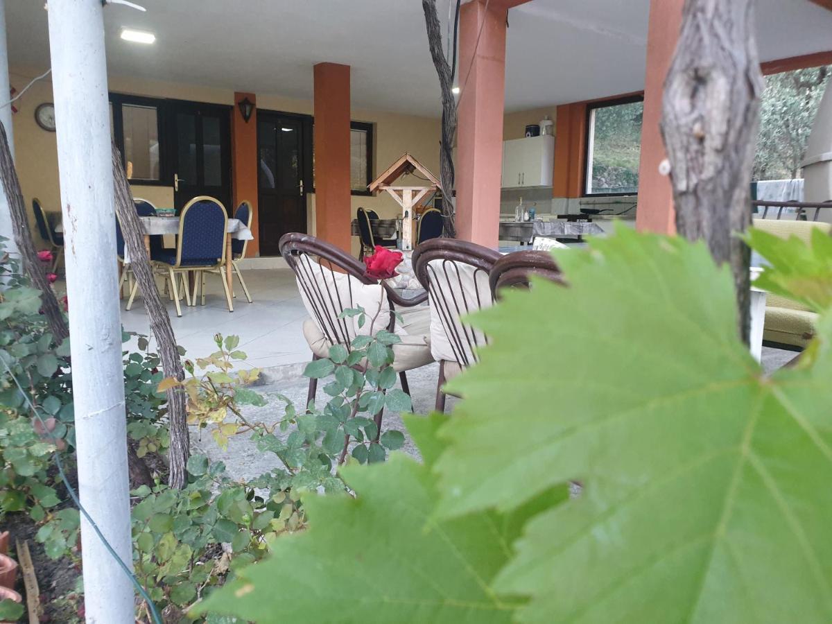 Mijailovic Apartmani Kaluderac Ngoại thất bức ảnh
